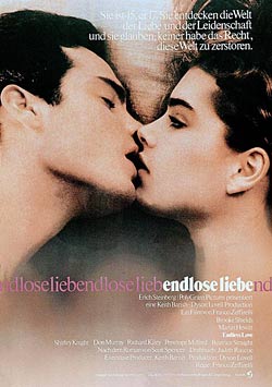 Бесконечная любовь / Endless Love (1981)