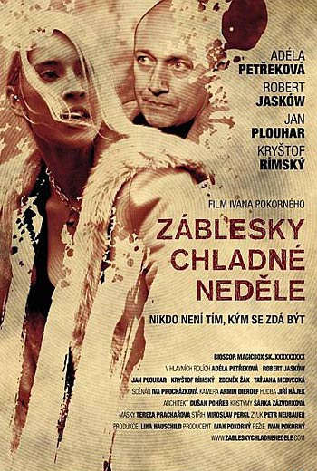 Проблеск в холодном воскресенье / Zablesky chladne nedele (2012)
